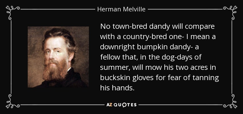 No town-bred dandy will compare with a country-bred one- I mean a downright bumpkin dandy- a fellow that, in the dog-days of summer, will mow his two acres in buckskin gloves for fear of tanning his hands. - Herman Melville