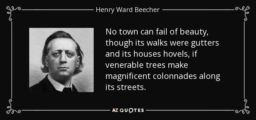 No town can fail of beauty, though its walks were gutters and its houses hovels, if venerable trees make magnificent colonnades along its streets. - Henry Ward Beecher