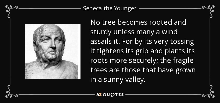 No tree becomes rooted and sturdy unless many a wind assails it. For by its very tossing it tightens its grip and plants its roots more securely; the fragile trees are those that have grown in a sunny valley. - Seneca the Younger