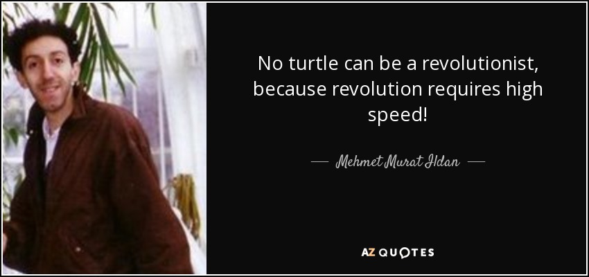 No turtle can be a revolutionist, because revolution requires high speed! - Mehmet Murat Ildan