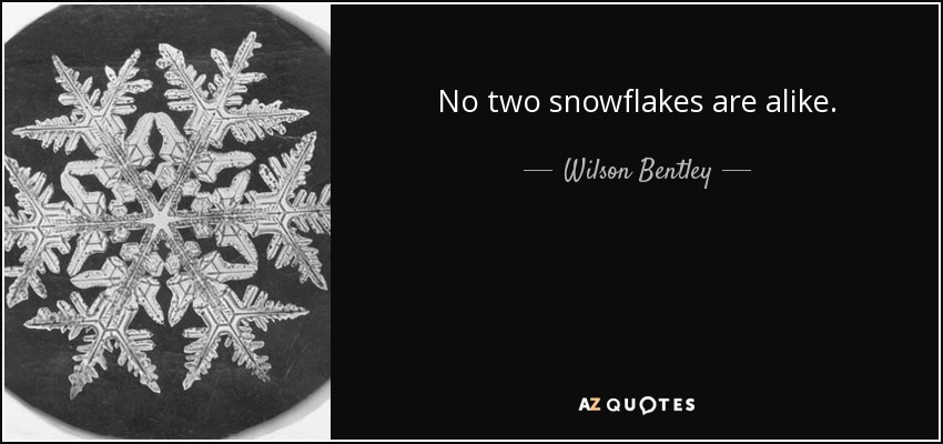 No two snowflakes are alike. - Wilson Bentley