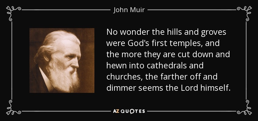 No wonder the hills and groves were God's first temples, and the more they are cut down and hewn into cathedrals and churches, the farther off and dimmer seems the Lord himself. - John Muir