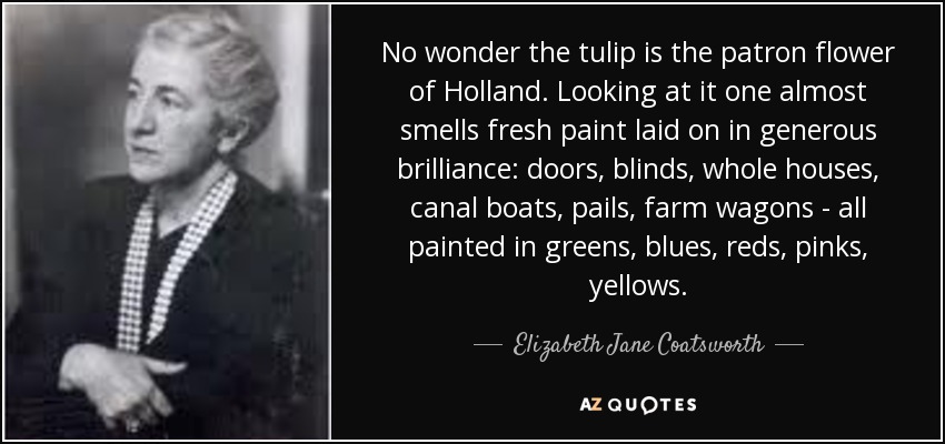 No wonder the tulip is the patron flower of Holland. Looking at it one almost smells fresh paint laid on in generous brilliance: doors, blinds, whole houses, canal boats, pails, farm wagons - all painted in greens, blues, reds, pinks, yellows. - Elizabeth Jane Coatsworth