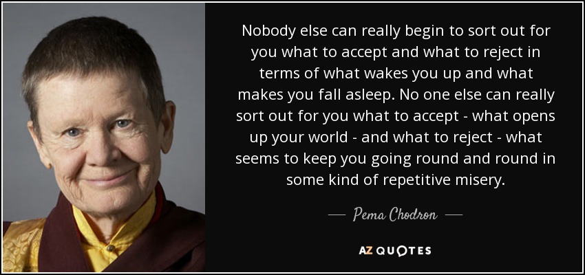 Nobody else can really begin to sort out for you what to accept and what to reject in terms of what wakes you up and what makes you fall asleep. No one else can really sort out for you what to accept - what opens up your world - and what to reject - what seems to keep you going round and round in some kind of repetitive misery. - Pema Chodron