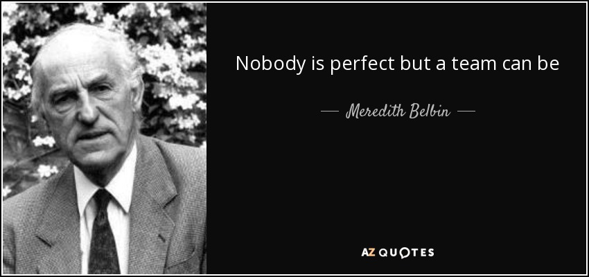 Nobody is perfect but a team can be - Meredith Belbin
