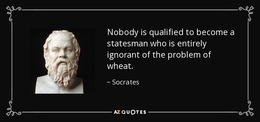 Nobody is qualified to become a statesman who is entirely ignorant of the problem of wheat. - Socrates