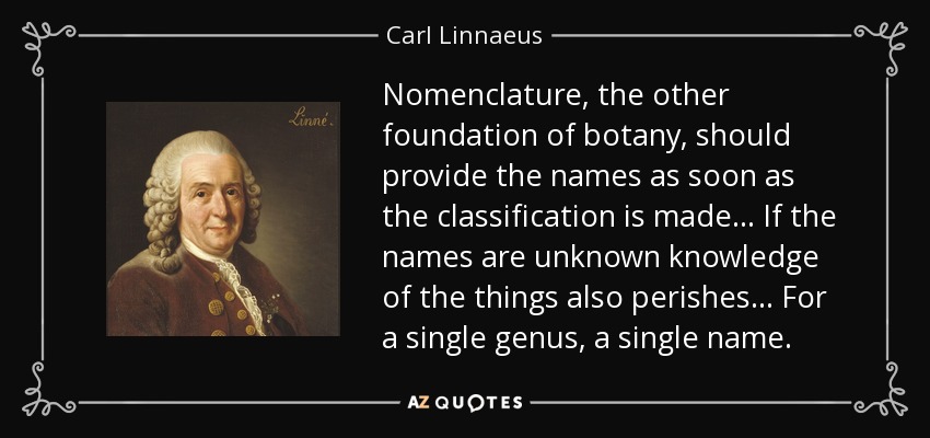 Nomenclature, the other foundation of botany, should provide the names as soon as the classification is made... If the names are unknown knowledge of the things also perishes... For a single genus, a single name. - Carl Linnaeus