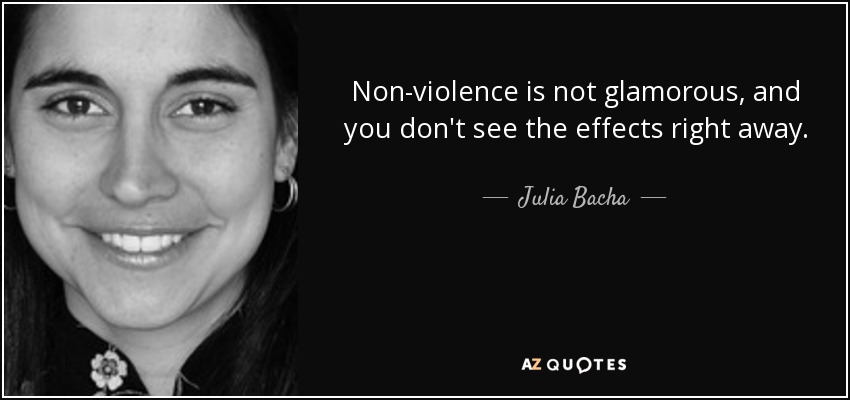 Non-violence is not glamorous, and you don't see the effects right away. - Julia Bacha