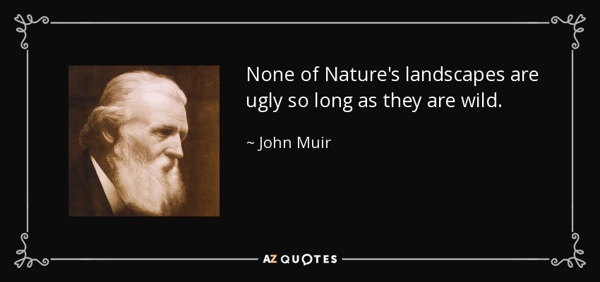 None of Nature's landscapes are ugly so long as they are wild. - John Muir
