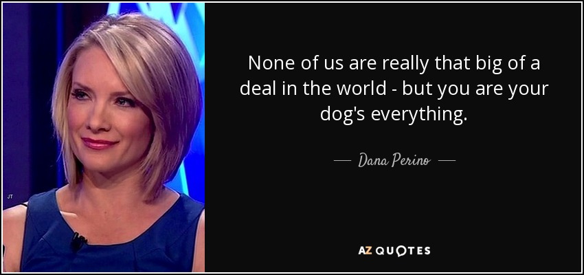 None of us are really that big of a deal in the world - but you are your dog's everything. - Dana Perino