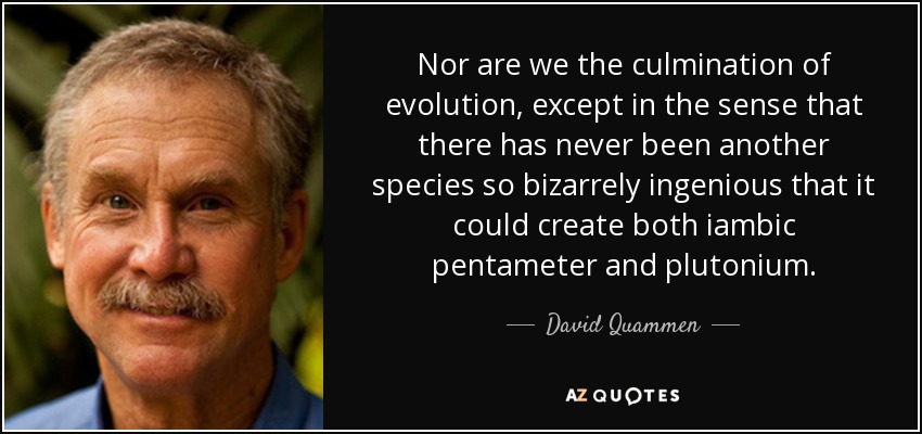 Nor are we the culmination of evolution, except in the sense that there has never been another species so bizarrely ingenious that it could create both iambic pentameter and plutonium. - David Quammen