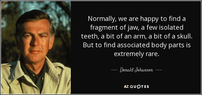 Normally, we are happy to find a fragment of jaw, a few isolated teeth, a bit of an arm, a bit of a skull. But to find associated body parts is extremely rare. - Donald Johanson
