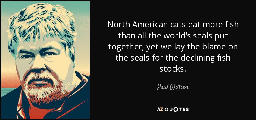 North American cats eat more fish than all the world's seals put together, yet we lay the blame on the seals for the declining fish stocks. - Paul Watson