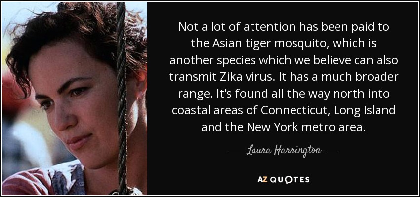 Not a lot of attention has been paid to the Asian tiger mosquito, which is another species which we believe can also transmit Zika virus. It has a much broader range. It's found all the way north into coastal areas of Connecticut, Long Island and the New York metro area. - Laura Harrington