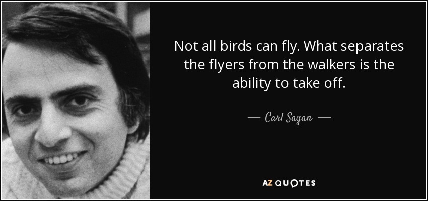 Not all birds can fly. What separates the flyers from the walkers is the ability to take off. - Carl Sagan