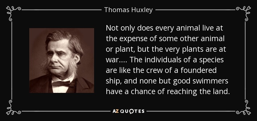 Not only does every animal live at the expense of some other animal or plant, but the very plants are at war.... The individuals of a species are like the crew of a foundered ship, and none but good swimmers have a chance of reaching the land. - Thomas Huxley
