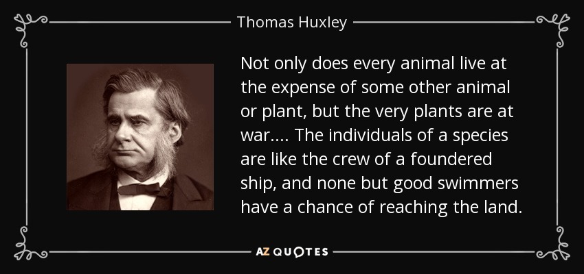 Not only does every animal live at the expense of some other animal or plant, but the very plants are at war.... The individuals of a species are like the crew of a foundered ship, and none but good swimmers have a chance of reaching the land. - Thomas Huxley