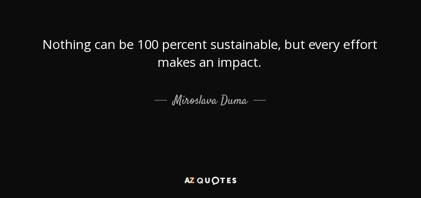 Nothing can be 100 percent sustainable, but every effort makes an impact. - Miroslava Duma
