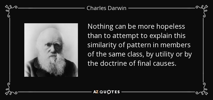 Nothing can be more hopeless than to attempt to explain this similarity of pattern in members of the same class, by utility or by the doctrine of final causes. - Charles Darwin