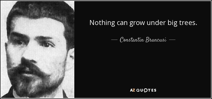 Nothing can grow under big trees. - Constantin Brancusi