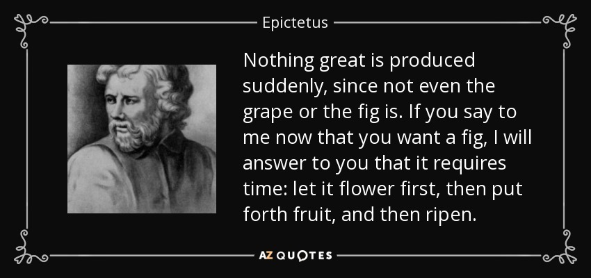 Nothing great is produced suddenly, since not even the grape or the fig is. If you say to me now that you want a fig, I will answer to you that it requires time: let it flower first, then put forth fruit, and then ripen. - Epictetus