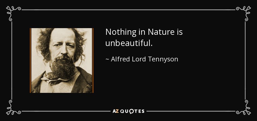 Nothing in Nature is unbeautiful. - Alfred Lord Tennyson