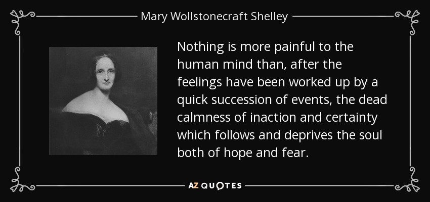 Nothing is more painful to the human mind than, after the feelings have been worked up by a quick succession of events, the dead calmness of inaction and certainty which follows and deprives the soul both of hope and fear. - Mary Wollstonecraft Shelley
