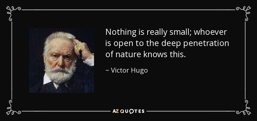 Nothing is really small; whoever is open to the deep penetration of nature knows this. - Victor Hugo