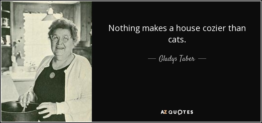 Nothing makes a house cozier than cats. - Gladys Taber