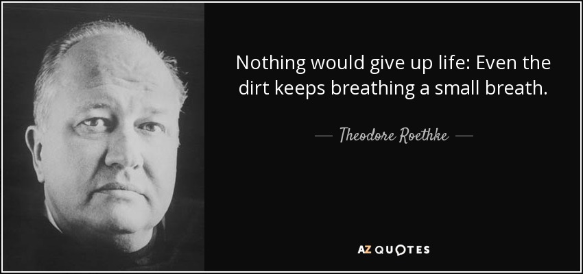 Nothing would give up life: Even the dirt keeps breathing a small breath. - Theodore Roethke