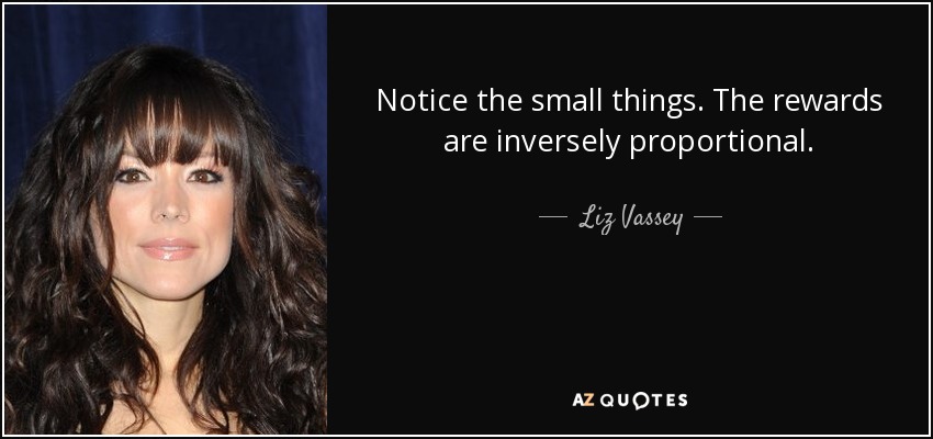 Notice the small things. The rewards are inversely proportional. - Liz Vassey