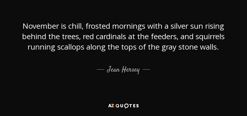 November is chill, frosted mornings with a silver sun rising behind the trees, red cardinals at the feeders, and squirrels running scallops along the tops of the gray stone walls. - Jean Hersey