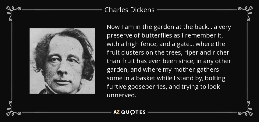 Now I am in the garden at the back . . . a very preserve of butterflies as I remember it, with a high fence, and a gate . . . where the fruit clusters on the trees, riper and richer than fruit has ever been since, in any other garden, and where my mother gathers some in a basket while I stand by, bolting furtive gooseberries, and trying to look unnerved. - Charles Dickens