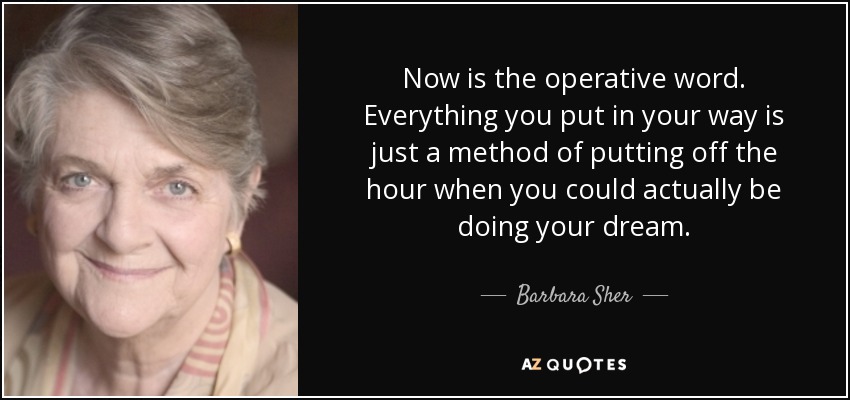 Now is the operative word. Everything you put in your way is just a method of putting off the hour when you could actually be doing your dream. - Barbara Sher