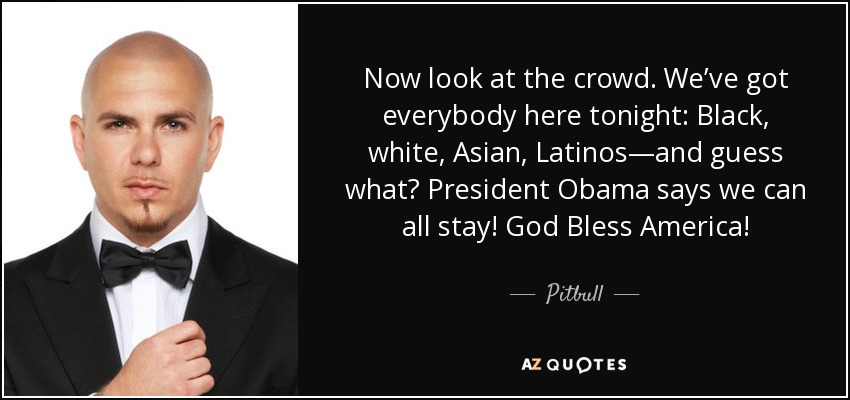 Now look at the crowd. We’ve got everybody here tonight: Black, white, Asian, Latinos—and guess what? President Obama says we can all stay! God Bless America! - Pitbull