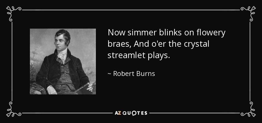 Now simmer blinks on flowery braes, And o'er the crystal streamlet plays. - Robert Burns