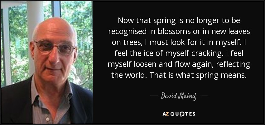 Now that spring is no longer to be recognised in blossoms or in new leaves on trees, I must look for it in myself. I feel the ice of myself cracking. I feel myself loosen and flow again, reflecting the world. That is what spring means. - David Malouf