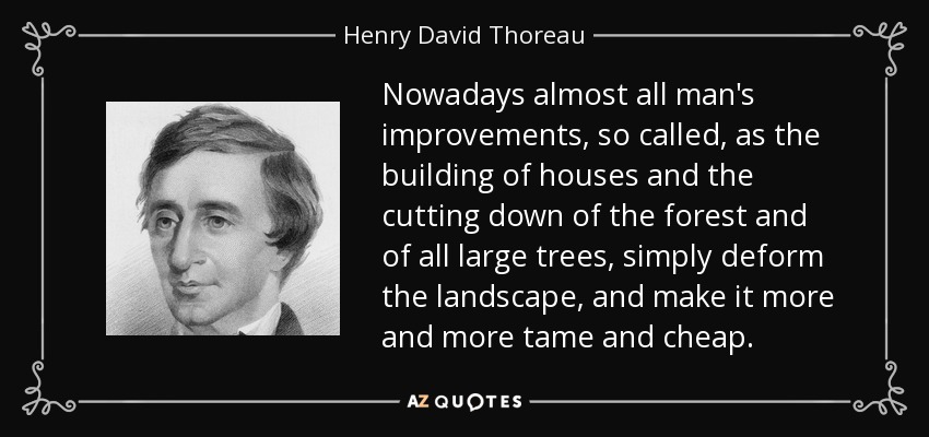 Nowadays almost all man's improvements, so called, as the building of houses and the cutting down of the forest and of all large trees, simply deform the landscape, and make it more and more tame and cheap. - Henry David Thoreau