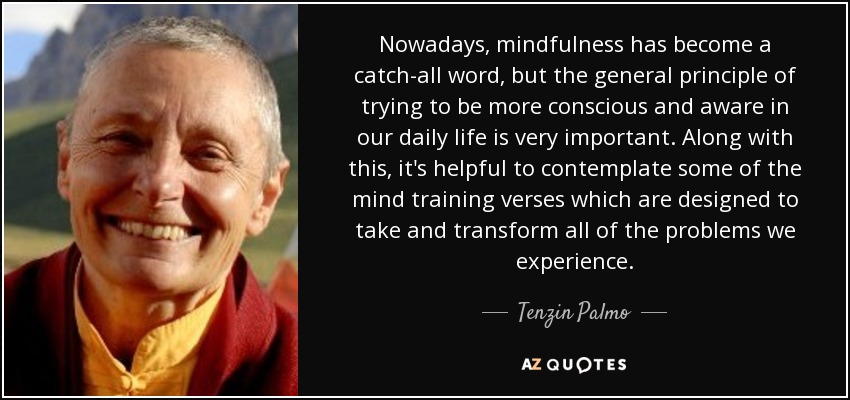 Nowadays, mindfulness has become a catch-all word, but the general principle of trying to be more conscious and aware in our daily life is very important. Along with this, it's helpful to contemplate some of the mind training verses which are designed to take and transform all of the problems we experience. - Tenzin Palmo