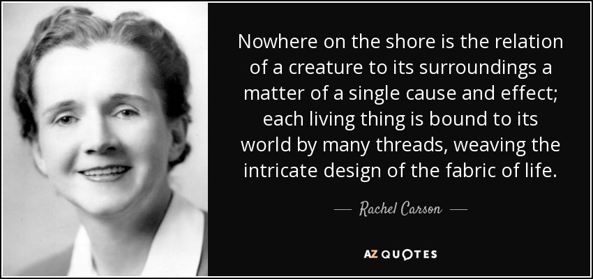 Nowhere on the shore is the relation of a creature to its surroundings a matter of a single cause and effect; each living thing is bound to its world by many threads, weaving the intricate design of the fabric of life. - Rachel Carson