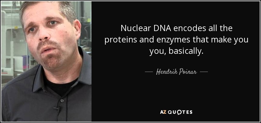 Nuclear DNA encodes all the proteins and enzymes that make you you, basically. - Hendrik Poinar