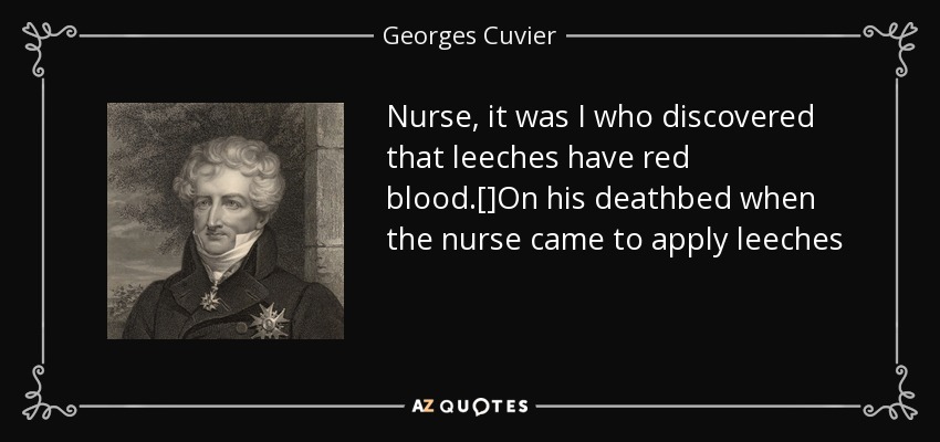 Nurse, it was I who discovered that leeches have red blood.[]On his deathbed when the nurse came to apply leeches - Georges Cuvier