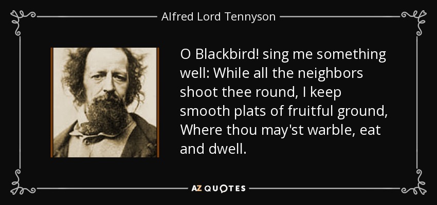 O Blackbird! sing me something well: While all the neighbors shoot thee round, I keep smooth plats of fruitful ground, Where thou may'st warble, eat and dwell. - Alfred Lord Tennyson