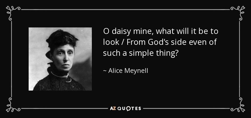 O daisy mine, what will it be to look / From God's side even of such a simple thing? - Alice Meynell