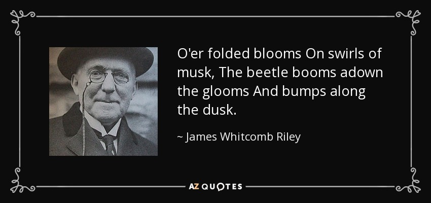 O'er folded blooms On swirls of musk, The beetle booms adown the glooms And bumps along the dusk. - James Whitcomb Riley