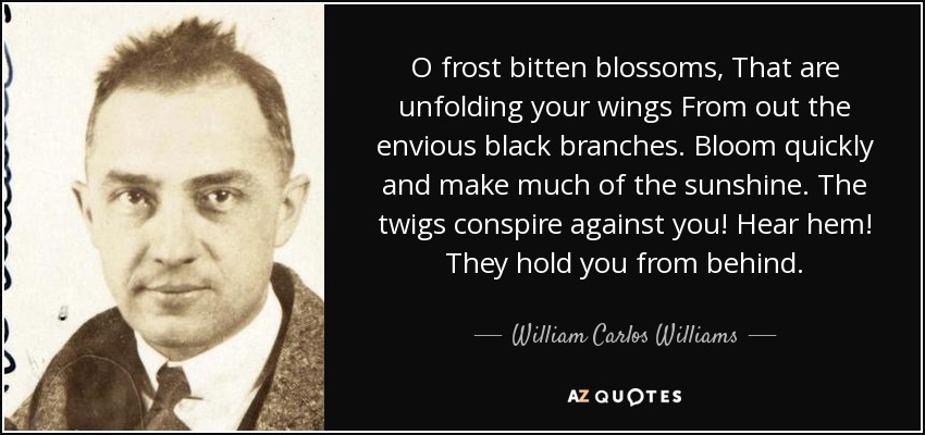 O frost bitten blossoms, That are unfolding your wings From out the envious black branches. Bloom quickly and make much of the sunshine. The twigs conspire against you! Hear hem! They hold you from behind. - William Carlos Williams