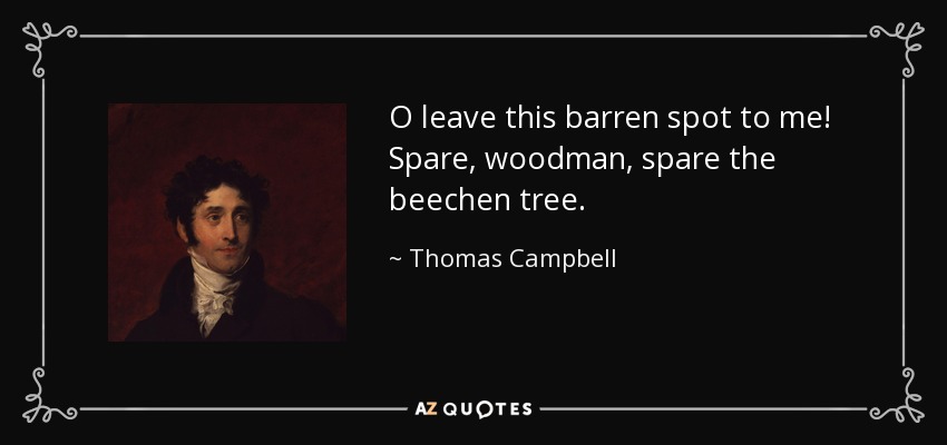 O leave this barren spot to me! Spare, woodman, spare the beechen tree. - Thomas Campbell