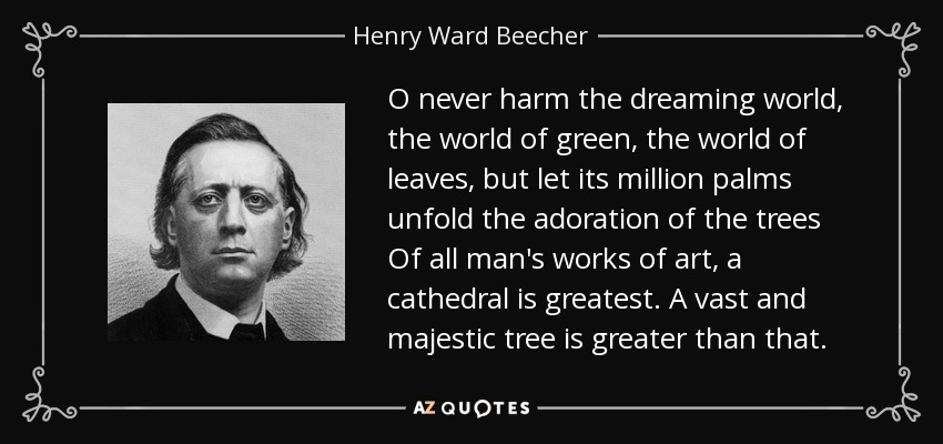 O never harm the dreaming world, the world of green, the world of leaves, but let its million palms unfold the adoration of the trees Of all man's works of art, a cathedral is greatest. A vast and majestic tree is greater than that. - Henry Ward Beecher