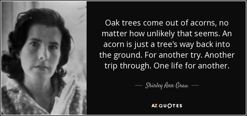 Oak trees come out of acorns, no matter how unlikely that seems. An acorn is just a tree's way back into the ground. For another try. Another trip through. One life for another. - Shirley Ann Grau