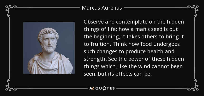 Observe and contemplate on the hidden things of life: how a man's seed is but the beginning, it takes others to bring it to fruition. Think how food undergoes such changes to produce health and strength. See the power of these hidden things which, like the wind cannot been seen, but its effects can be. - Marcus Aurelius